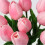 Umělé tulipány Real-Touch 13,5" (10/20/24 ks) 4