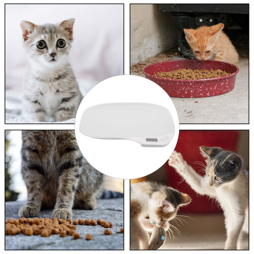 Balance numérique pour chats et chiens, blanche 2