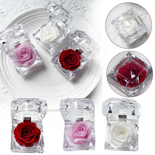 Konservierte rote Rose in Acrylbox – 1 Stück 2