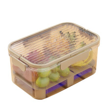 Tragbare, doppelwandige Lebensmittelaufbewahrungsbox mit Eisfach