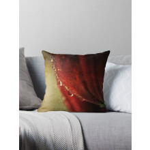 Capas de almofada decorativas estilo casa de campo (pacote com 1)