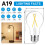 Lâmpada LED Edison Vintage A19 E26 8W 800LM 5000K (Pacote com 24) 2