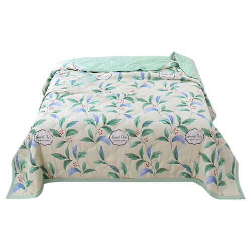 Couette d'été légère en microfibre, format queen, 1 pièce 1