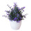 Planta Bonsai Artificial de 22cm em Plástico para Decoração de Ambientes Internos e Externos 2