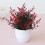 Planta Bonsai Artificial de 22cm em Plástico para Decoração de Ambientes Internos e Externos 5