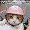 Small Dog Helmet with Adjustable Chin Strap Shock-pink large 6