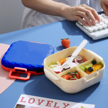 Weihnachtsabverkauf: Tragbare Lunchbox mit Fächern