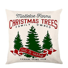 Offre Black Friday sur les housses de coussin de Noël