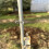Clip isolant en queue de cochon pour clôture électrique, 50 5
