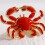 Broche d'animal de mer faite à la main, broche de Badge en-1 5