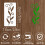 Reusing Artistic Template Craft Tool With Quality PET-XA68 4