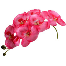 Mesterséges Pillangó Orchidea Selyem Virág 1 Darab