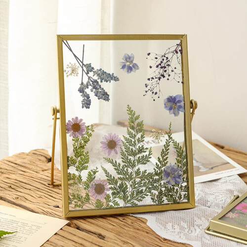 LingStar double glass pressed flower frame 6 inch