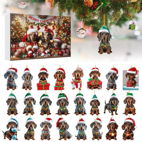 Calendrier de l'Avent de Noël Teckel - 24 jours