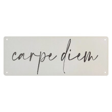 Placa de metal rústica "Carpe Diem" para decoração de parede (15 x 40 cm).