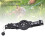 3er Pack Reflektierender Katzenhalsbandhalter mit Glöckchen, Schwarz 5