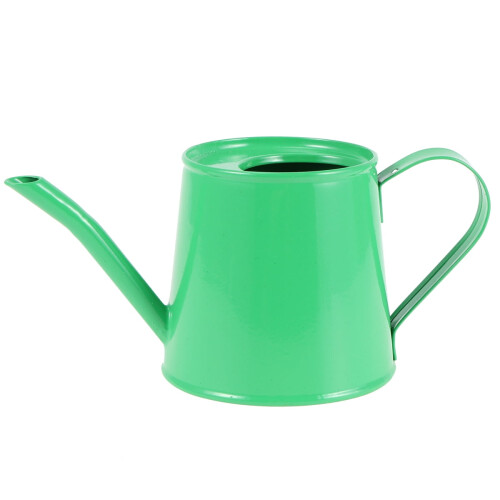 Mini arrosoir en fer vert (2 pièces) 2