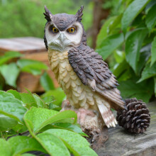 Decoración de jardín con animales de resina: búhos, ratas, pájaros.
