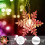 Snowflake Window Curtain Lights 11.5ft 96 LED 4