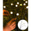 Solar-LED-Gartenleuchten, warmweiß, 8er-Pack 4