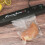 Karymi vacuum sealer machine automatic food preservation 1 5