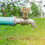 Faucet Handle Hot Cold 1/2 Inch 5