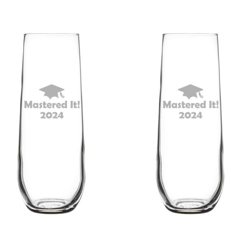 2-Pack Stemless Champagne Flutes 8.5 oz
