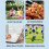 Sac à repas scolaire mignon, grand format, isotherme vertical. 2