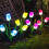 Solcellsdrivna Tulip LED-lampor, vattentäta, 2-pack 1