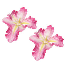 Trendy Boheemse bloemenhaarclip 2 stuks met realistische-Roze