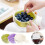 Double-Layer Fruit Strainer with Handle, 20cm 3