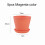Conjunto de 5 mini vasos de flores com bandeja – Plástico, para mesa e 1