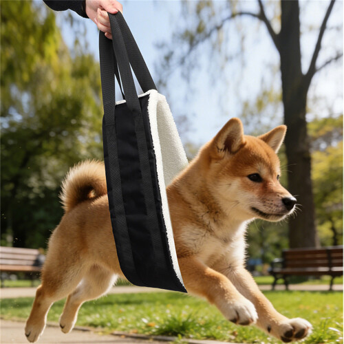 Comfortable Canine Assist Lifting Harness With Padded Design For 1