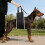 Comfortable Canine Assist Lifting Harness With Padded Design For 6