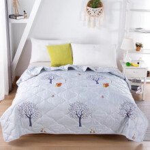 Skin-Friendly Washed Cotton Summer Quilt 100x150cm