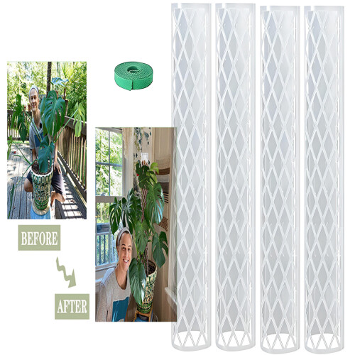 Support pour plantes solide de 16 pouces, lot de 1 ensemble-UN 2