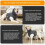 Schützendes Hunde-Stressweste-Sweatshirt mit-XXL Dunkelgrau 5