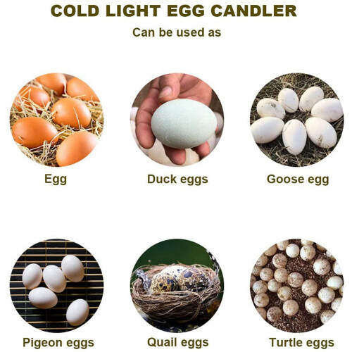Egg Candler Tester Rechargeable Wireless Cool Light Lamp 2 2