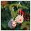 Pendentif boule de fourrure de cerf de Noël (4 pièces) 3