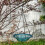 Space Saving Hanging Bird Bath Water Bowl Ideal for Porch-Blue 6