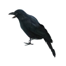 Realistic Crow Decoration Black Feathered Prop 2pcs