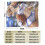 Lola Bunny plush throw blanket 50x60 inches 3