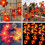 Thanksgiving String Lights Pumpkin Maple Leaf 20 ft 40 LED 8