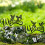 Silhouette Garden Stake Hummingbird 1 Piece 2