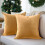 Housses de coussin carrées en velours avec fermeture éclair, lot de 2 1