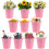 Verzinkter Eisenblumentopf mit Griff, 2er-Pack 4
