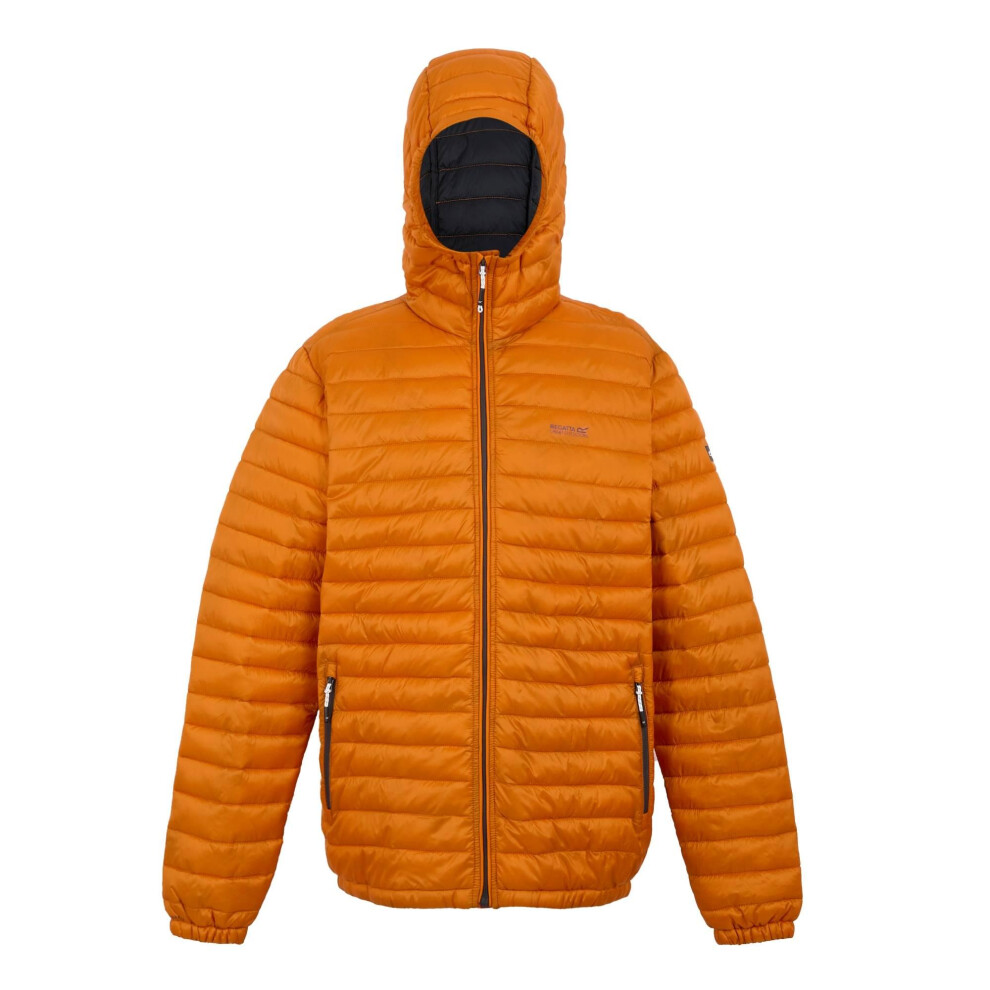 Regatta (3Xl, Fox) Mens Hurden Padded Jacket Multicoloured