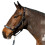 Gallop Diamond Leather Padded Horse Headcollar 2