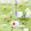 Donemore squirrel-proof spinning bird feeder 1 pack 1