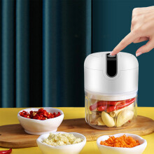 Mini hachoir à ail, robot culinaire portable, 1 unité